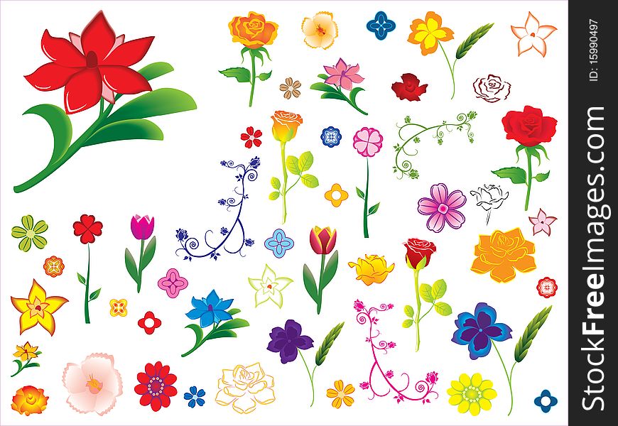 Vector illustration of colorful flowers. Vector illustration of colorful flowers