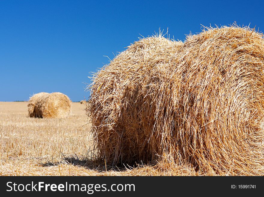 Wheat Haystacks with blue sky.
