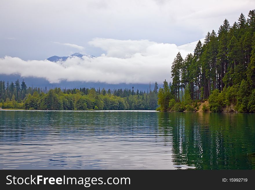 Landscape with  lake and evergreen forest