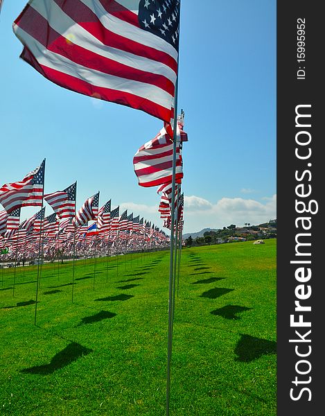 Flags commemorating each individual who perished on 9/11. Flags commemorating each individual who perished on 9/11.