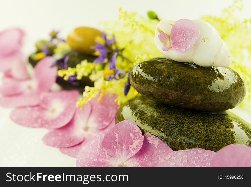 Spa stones and pink flower. Spa stones and pink flower