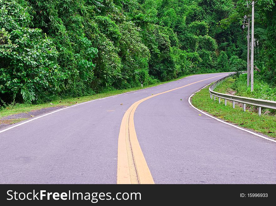 Road way  in Thailand forest