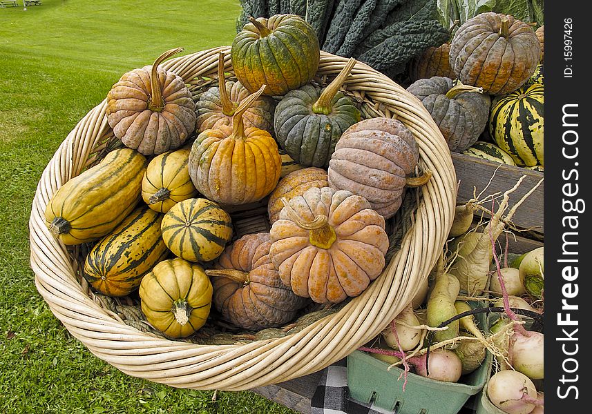 Organic Squash At Farmers Market