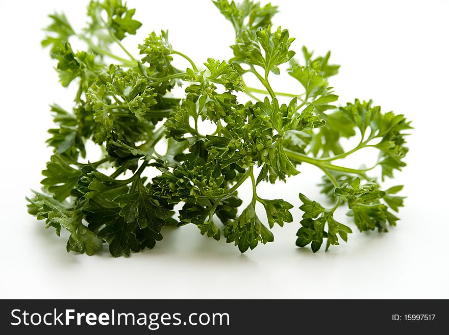 Shrub parsley for the soup