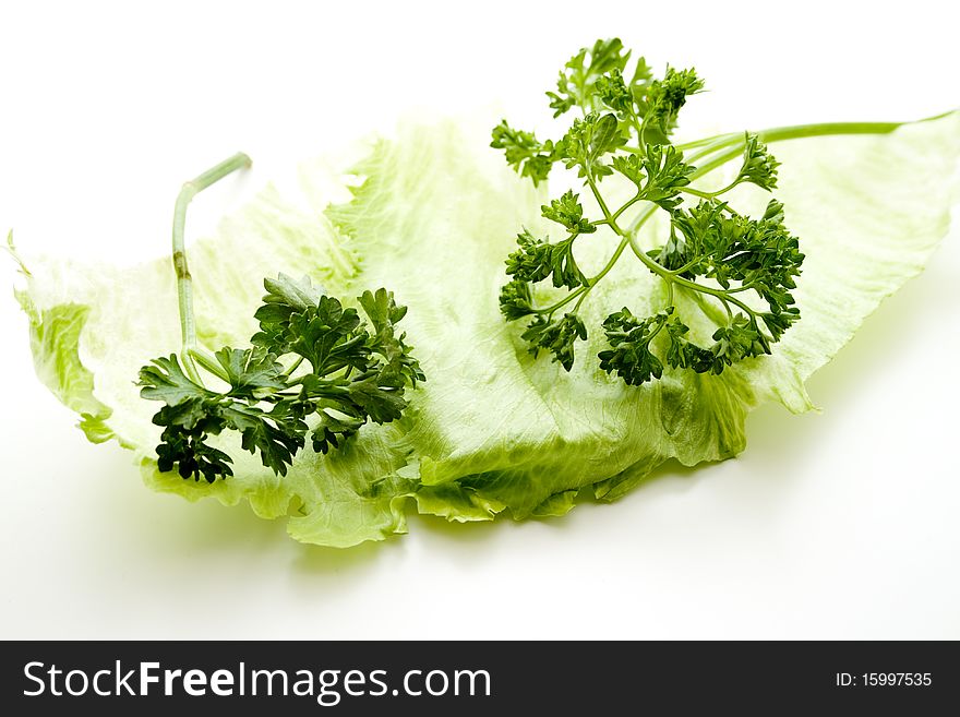 Salad leaves with fresh parsley