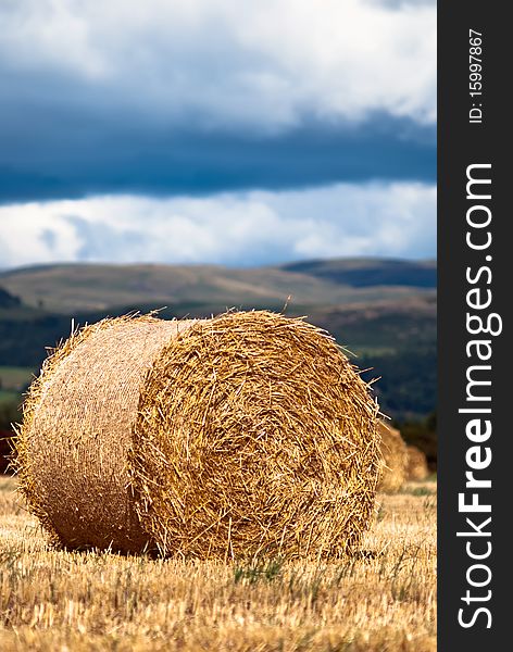 Hay bales on a field with clouds in background. Hay bales on a field with clouds in background