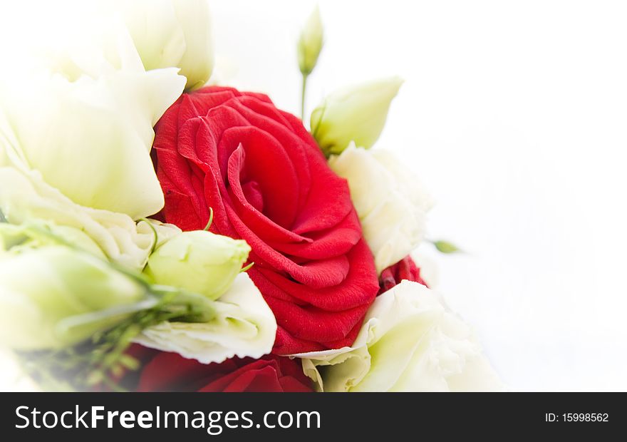 Bouquet made up of red and white roses. Bouquet made up of red and white roses