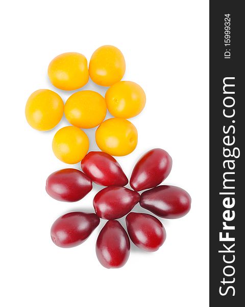 Yellow plum and dogwood on a white background