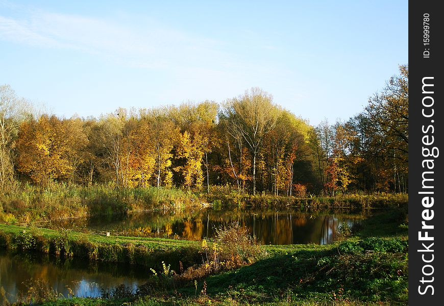 Picturesque autumn landscape of lake and bright trees and bushes