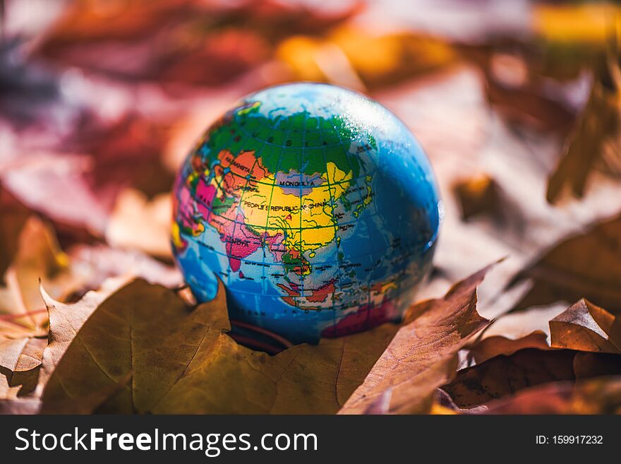 Close up of a small globe lies on colorful autumn maple leaves in the autumn forest. Concept. Selective focus. Russia, Europe