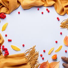 Autumn Composition With Yellow Scarf Or Blanket, Leaves, Red Berries On Pastel Background, Flat Lay Stock Photos