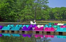 Paddle Boats Stock Photos Paddle Boats Stock Photos