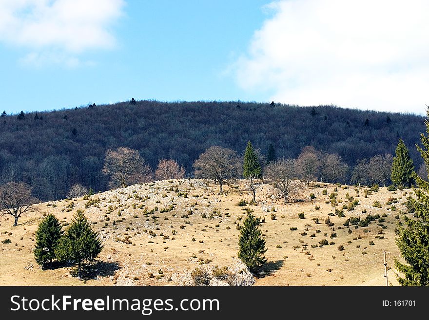 Hilly landscape