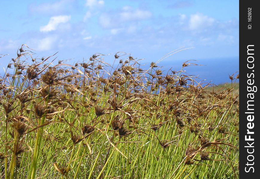 Easter Island - Rano Kau volcano