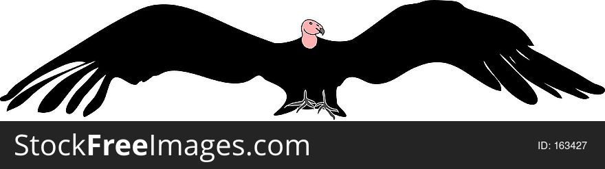 Illustration of a condor