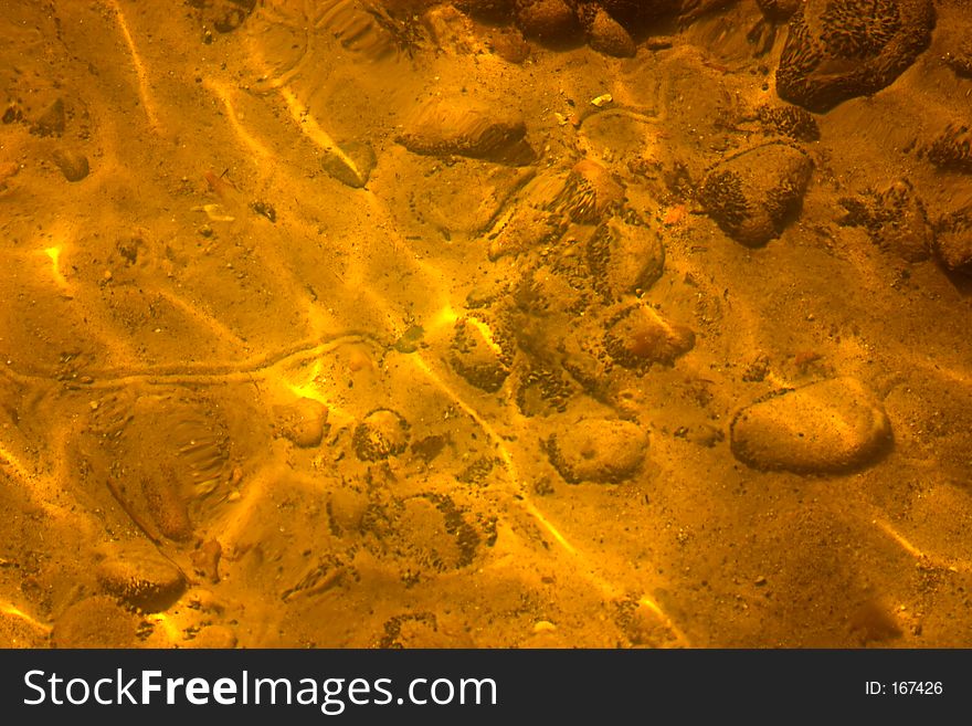 Looking to the bottom of a shallow point in Houghton Lake, MI, notice the snail tracks!. Looking to the bottom of a shallow point in Houghton Lake, MI, notice the snail tracks!