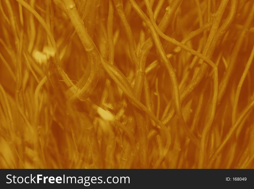 Soft brown blurred texture of vine twigs. Soft brown blurred texture of vine twigs