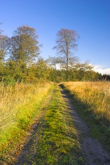 Sunshine In Autumn Stock Images Sunshine In Autumn Stock Images