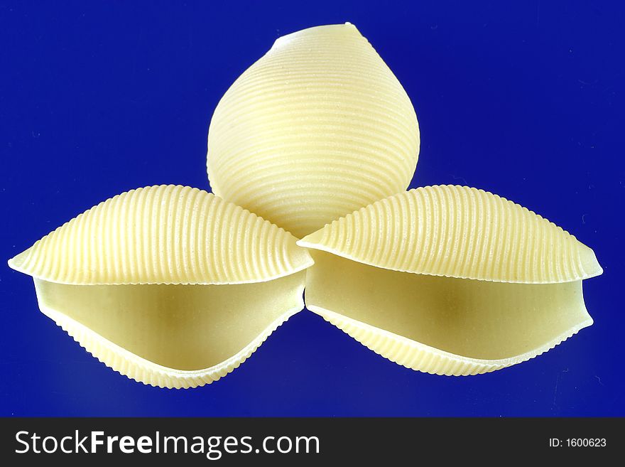 Pasta Shell Design