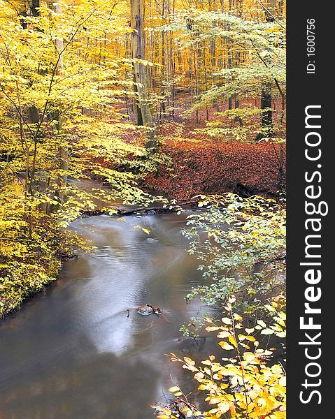 Autumn forest and river (Denmark). Autumn forest and river (Denmark)