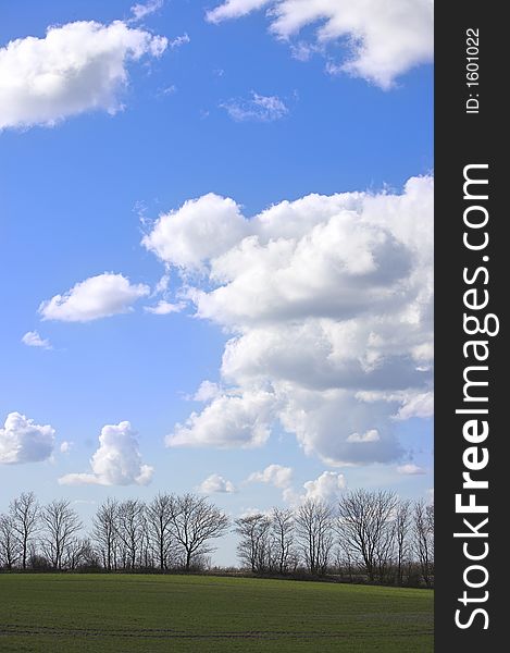 Trees and sky at the country side. Lots of room for text. Trees and sky at the country side. Lots of room for text.