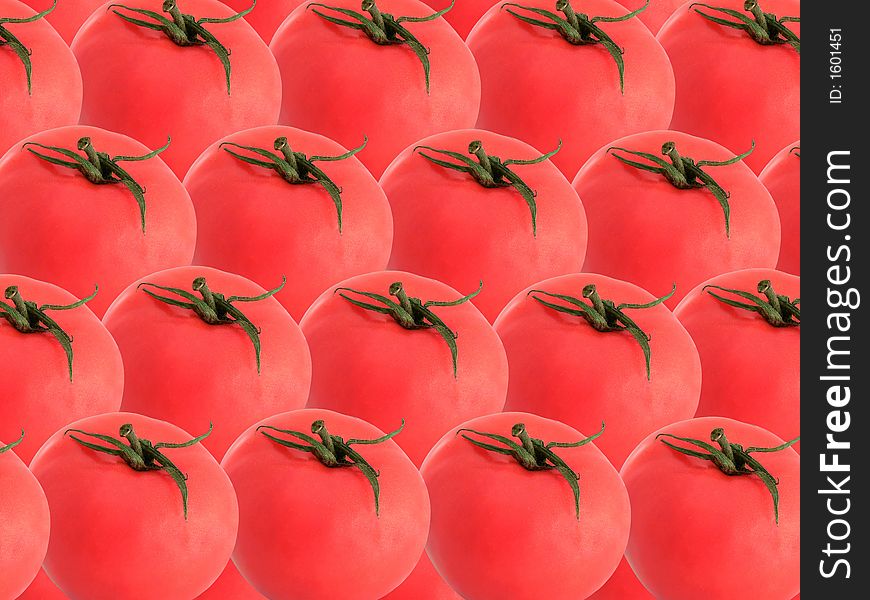 Fresh tomatoes arranged in rows