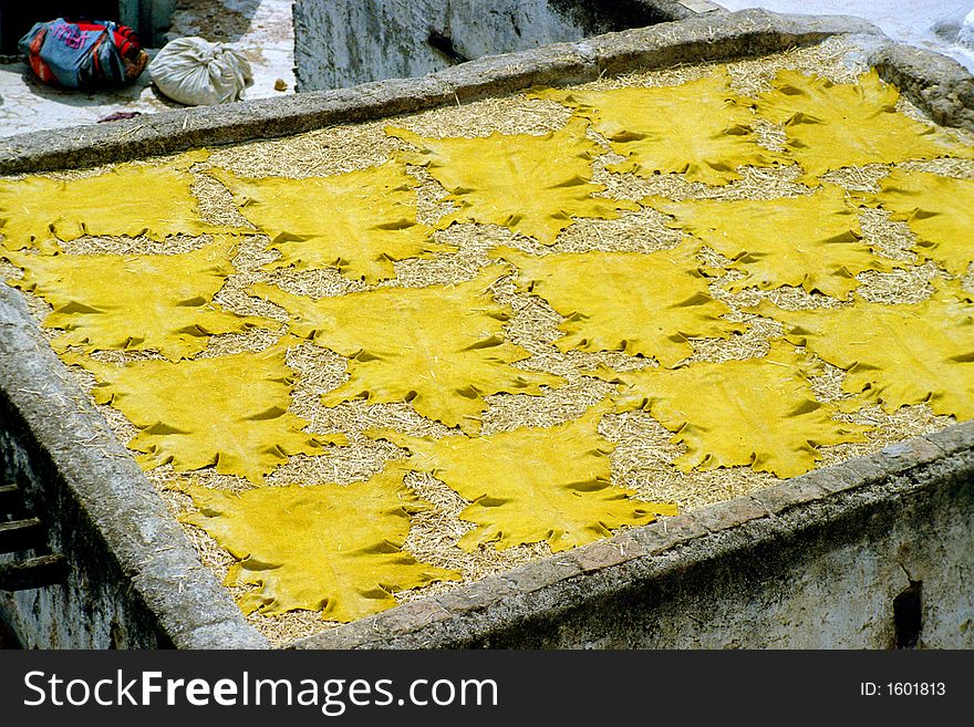 Hides dyed in saffron, laid for drying in tanneries, Fes, Morocco.