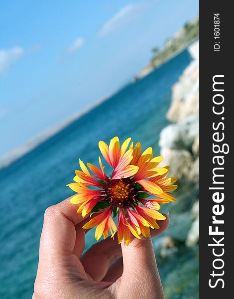 Female hand with flower in front of ocean, coastline. Female hand with flower in front of ocean, coastline