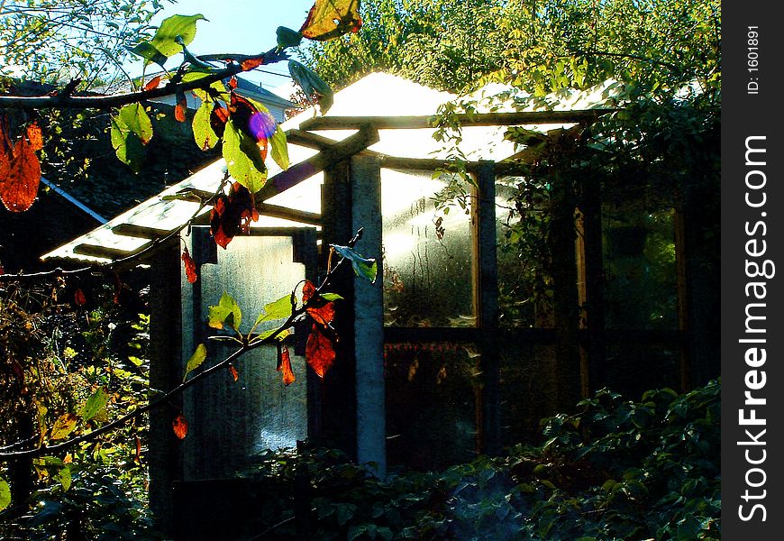 A greenhouse in the backyard on a sunny day. A greenhouse in the backyard on a sunny day
