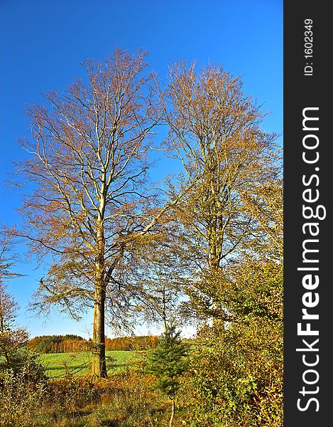 Early autumn in the country of Denmark