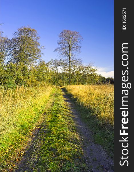 A photo of a dirt road - early autumn peace