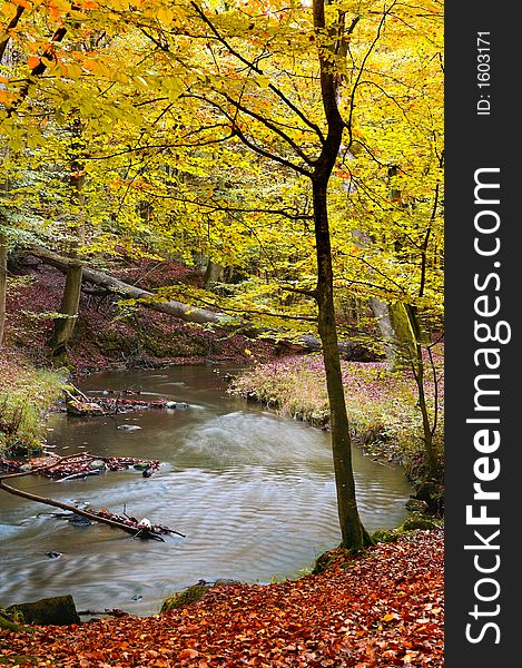 Autumn forest with blue river