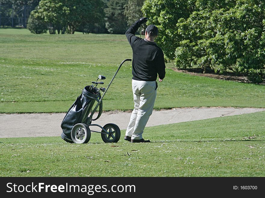 Golfer selecting his club  to play. Golfer selecting his club  to play