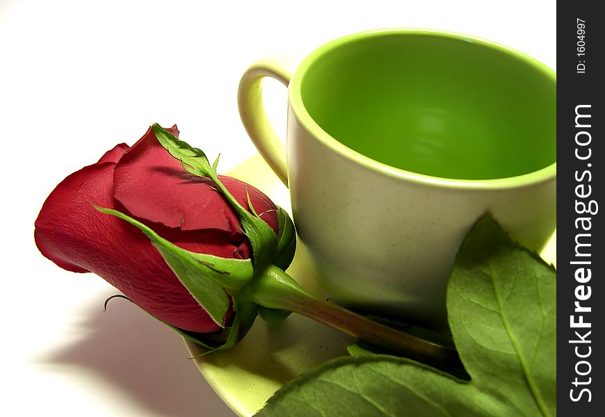 Beautiful red rose on white background