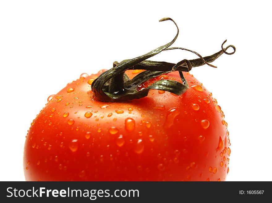 Fresh wet tomato isolated on white background. Shallow depth of field. Fresh wet tomato isolated on white background. Shallow depth of field