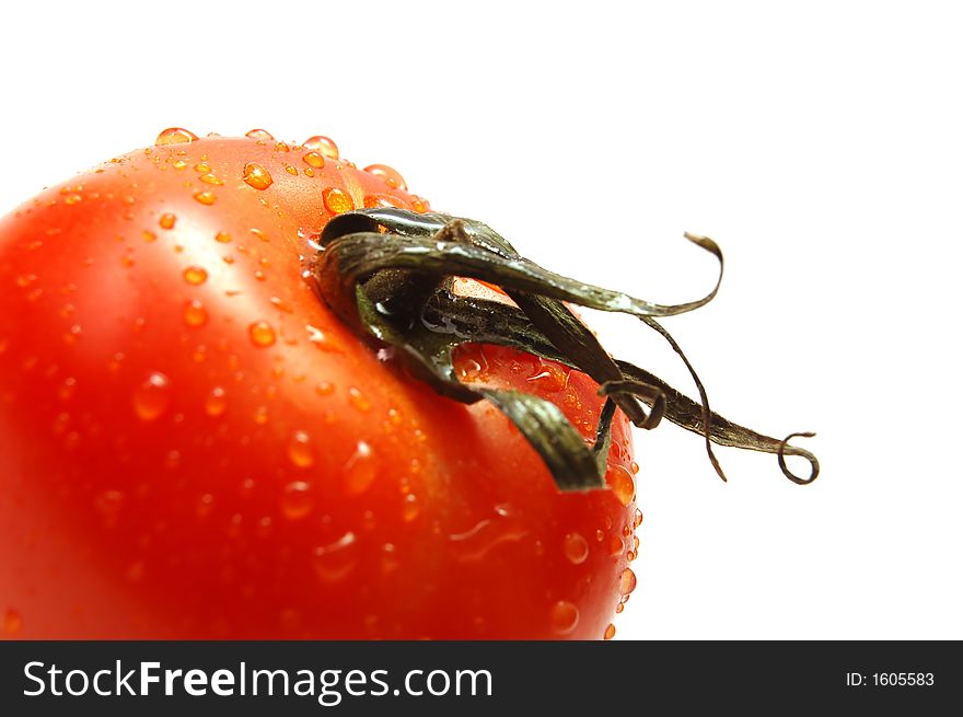 Fresh wet tomato isolated on white background. Shallow depth of field. Fresh wet tomato isolated on white background. Shallow depth of field