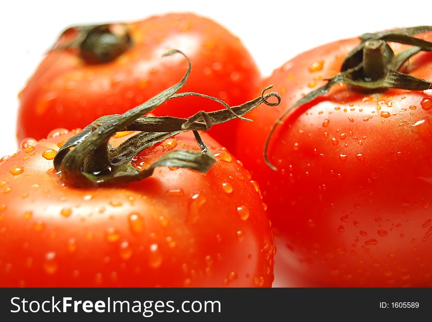 Fresh wet tomatoes isolated on white background. Shallow depth of field. Fresh wet tomatoes isolated on white background. Shallow depth of field