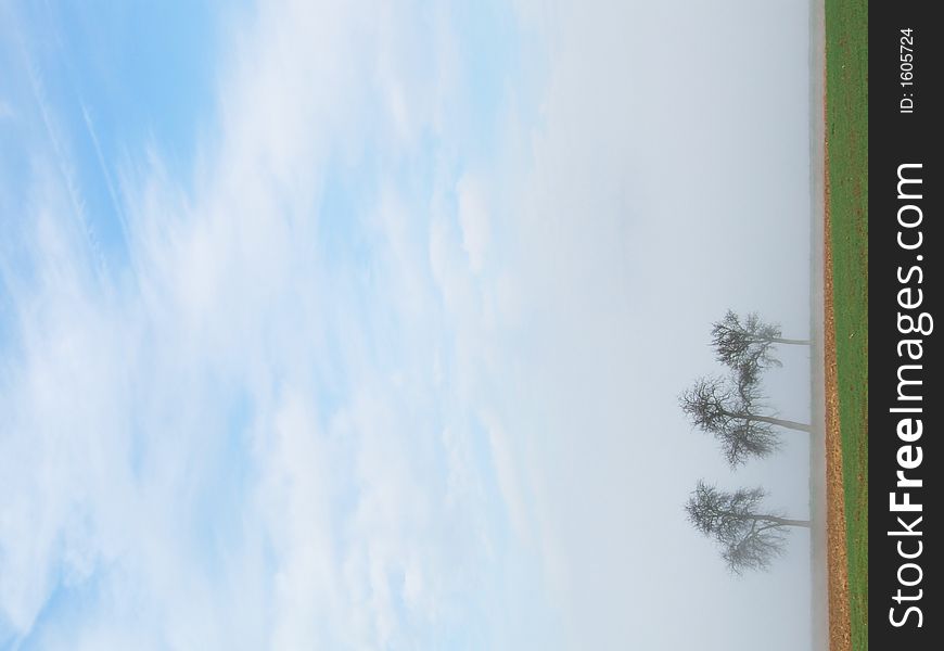 Three trees on a misty morning in France. Three trees on a misty morning in France