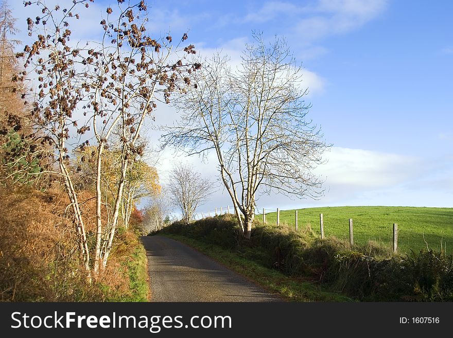 Sunny lane for an early morning walk in the country. Sunny lane for an early morning walk in the country