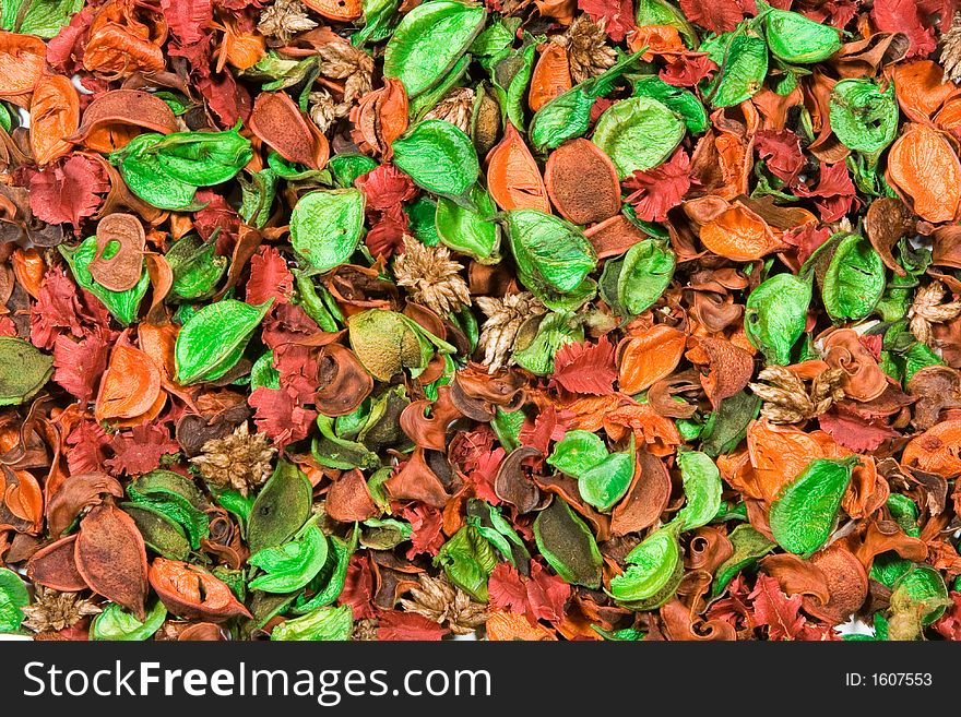 Dry flower petals multicolor background