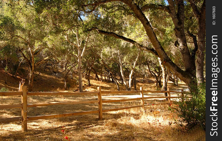 Fence along a road in the Carmel Valley of California