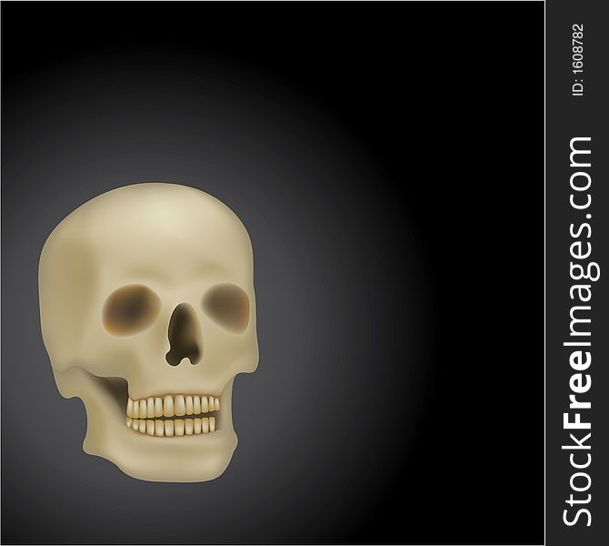 Skull, skeleton, teeth, bone, head