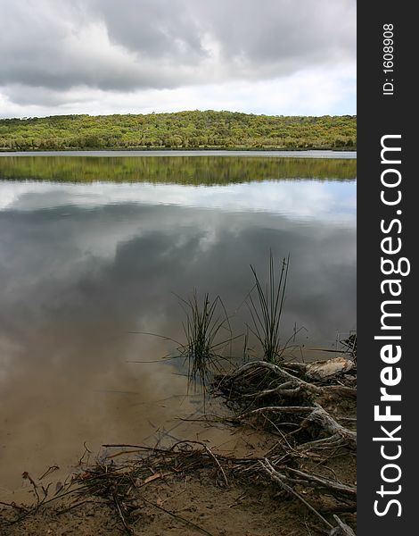 View of a like with wet roots in the forground and hill reflecting in the water in the background. View of a like with wet roots in the forground and hill reflecting in the water in the background