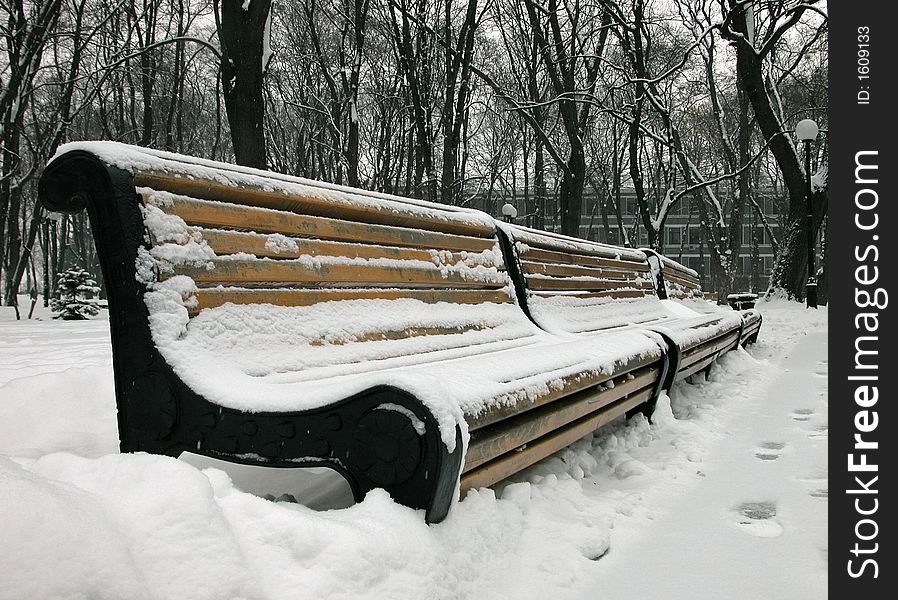 The stark snow-covered benches, nude asleep trees, the snowy empire. The stark snow-covered benches, nude asleep trees, the snowy empire