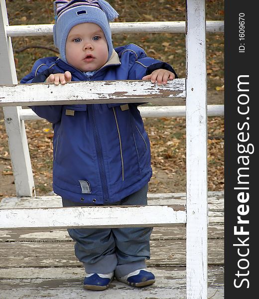 Baby On A Ladder