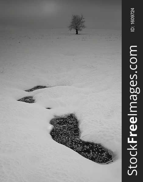 Hole in a snow with tree in background-blac and white