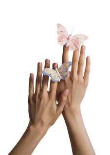 Two Butterflies On Hands Isolated On White Stock Photography