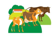 Bull, Cow And Calf Royalty Free Stock Photography