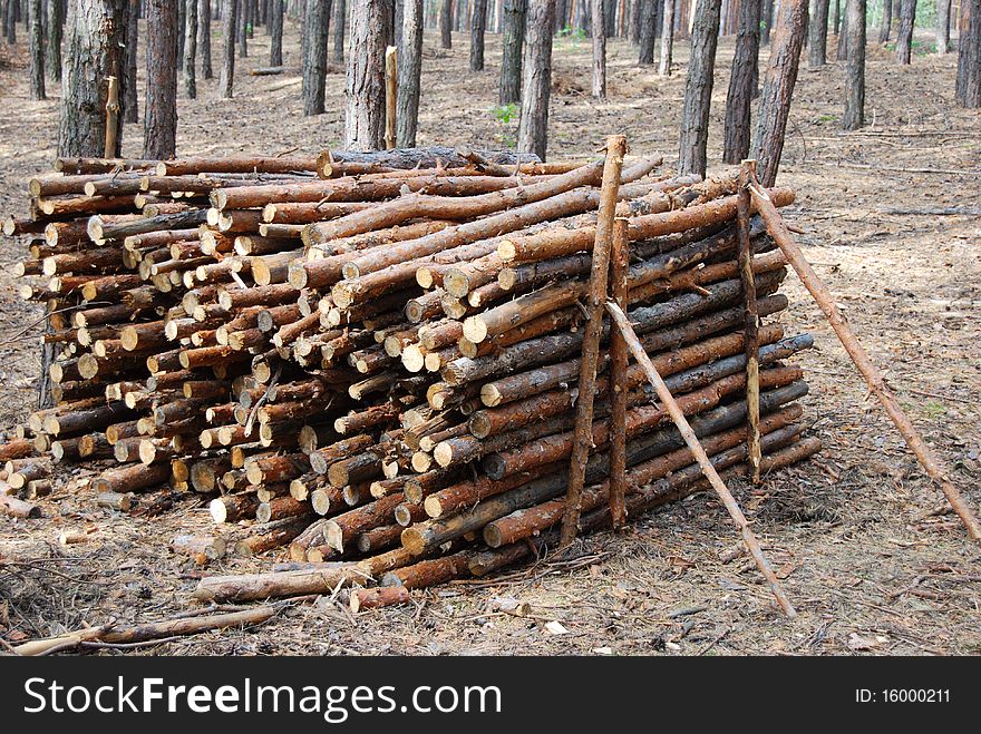 Heap from pine round logs. Heap from pine round logs