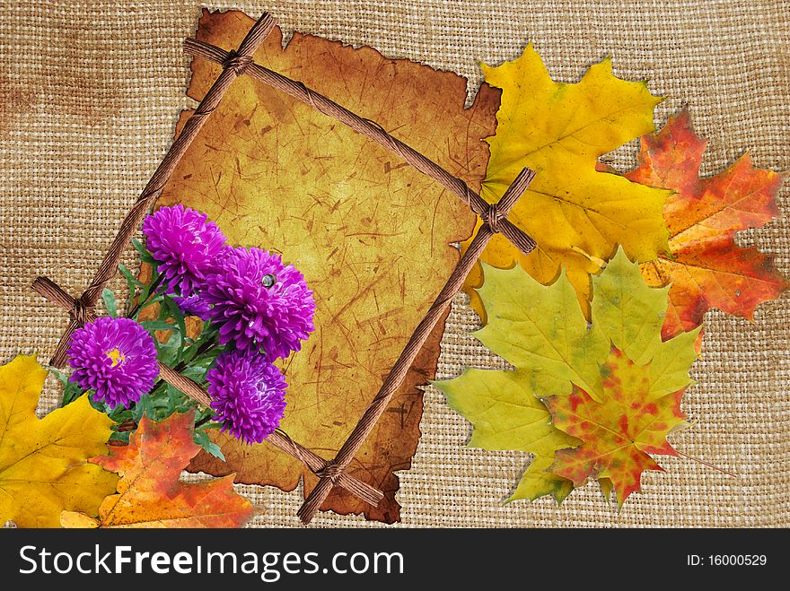 Asters and maple leafs with frame on background of canvas